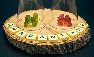 Behörden haben einen Mann aus dem Kreis Höxter in Quarantäne geschickt. Der fordert eine Entschädigung für den Verdienstausfall und klagt darauf jetzt vor dem Verwaltungsgericht. - Symbolfoto: Pixabay