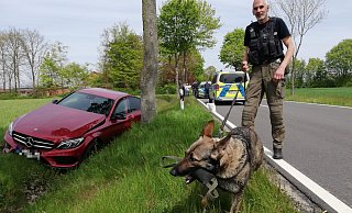 Der Sprengstoff-Spürhund Jette aus Bielefeld mit Carsten Hahm. - Joern Spreen-Ledebur