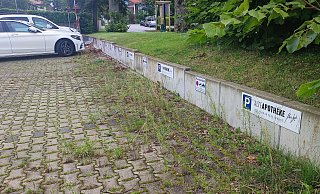 Die Parkplätze zwischen der "Alten Apotheke" und der Elsestraße sind einzeln gekennzeichnet. Aber vor der Einfahrt steht kein Schild, auf dem ersichtlich ist, dass es sich um Privatparkplätze handelt. - Anastasia von Fugler