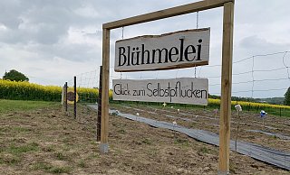 Das Schild steht gut sichtbar am Anfang des Feldes und kann auch von der Herforder Straße gesichtet werden. - Danielle Dörsing