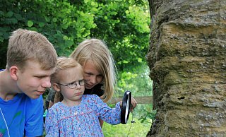Noch etwas skeptisch blickt die vierjährige Emma aus Bellersen auf den Stein mit den 220 Millionen Jahre alten Tieren, der Teil der Entdeckerrallye in Oeynhausen ist. Ihre Brüder Joschua und Jona sind fasziniert. - David Schellenberg