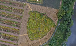 Ein neues Labyrinth ist in die Blühwiese auf dem Areal der LGS gemäht worden – in Form einer Eichel wegen der Eichenallee. - LGS