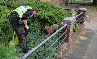 Polizeihunde werden von den Beamten, wie hier bei einem Fall in Herford, unter anderem auch bei der Spurensuche eingesetzt. - Jobst Lüdeking