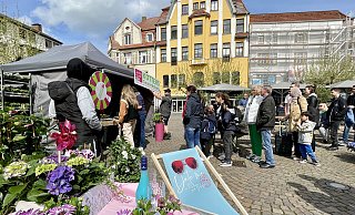 Kötter's Gewächshaus hat den Alten Markt zum Herforder Frühling in eine Blumen- und Entspannungsoase verwandelt. Am Glücksrad können Besucherinnen und Besucher unter anderem einen Pflanzengutschein gewinnen. Das versuchen viele. - Natalie Gottwald