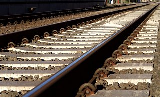 Nachdem zuletzt Pflastersteine für große Schäden gesorgt hatten, lagen nun Äste auf den Gleisen zwischen den Haltestellen Roggenkamp und Elpke. - Symbolfoto: pexels