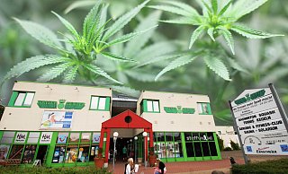 Im Kaiser-Center wurde eine professionelle Drogenplantage betrieben. - Felix Eisele