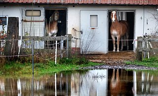 Die obersten Bodenschichten im Kreis Gütersloh sind durch den Dauerregen komplett gesättigt.