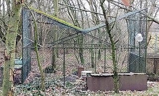 Die Falle ist nach Angaben der Tierschützer rund fünf Kubikmeter groß. Als Köder für die Greifvögel wurden auch Schlachtabfälle verwendet. - Komitee gegen den Vogelmord Bonn
