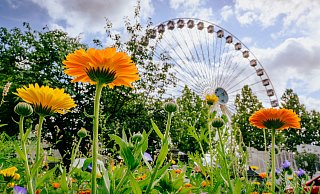 Eines der vielen Libori-Highlights: Das 55 Meter hohe Riesenrad. - Besim Mazhiqi