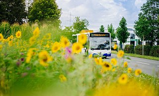 Die Padersprinter-Busse fahren wieder normal. - Besim Mazhiqi