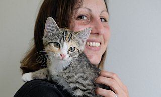 Der kleine grau mit orange getigerte Kater wurde "Mazda" getauft, ist zwölf Wochen alt und jetzt in der Obhut von Tierpflegerin Stefanie Schreiber im Tierheim Lübbecke. - Heike von Schulz