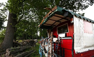 Der urige Planwagen ist liebevoll hergerichtet. Über dem Kutschbock prangen Geweihe und ein Hufeisen, vorne und hinten ist der Wagen mit gewundenen Ästen versehen. - Ilka Gülker