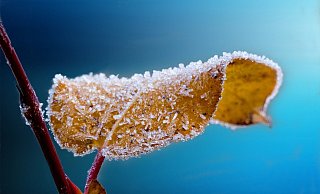 Nachdem es lange Zeit noch warm war, kommen jetzt die kalten Tage - und mit ihnen die glatten Straßen. - (Symbolbild): Pixabay