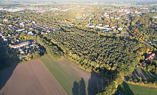Das Foto zeigt das von der Kreistagsmehrheit favorisierte, dicht bewaldete Grundstück entlang der Gabelhorst in Espelkamp. In der Mitte der Fäche soll die Stadt Espelkamp inzwischen ein Gundstück gekauft haben. - Torsten Hagemann
