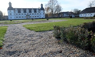 Einen trostlosen Anblick bietet derzeit der Barockgarten am Residenzschloss. Nur die äußeren Buchsbaumreihen um die früheren Ornamente können erhalten werden. - Hans-Hermann Igges