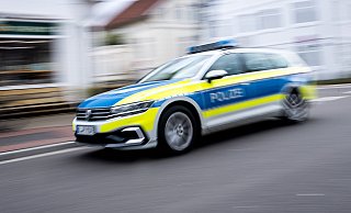 Zwei Personen wurden bei einem Wildunfall verletzt. - dpa