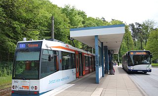 Die Linie 1 soll von der Wendeschleife in Senne nach Sennestadt fahren. Die Buslinie 135 könnte dann wegfallen. Foto: Silke Kröger - Silke Kröger