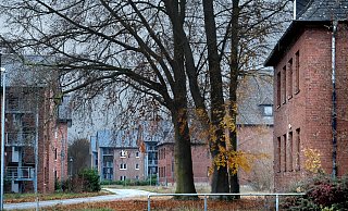 Bis zu 1.000 Geflüchtete sollen künftig an der Marienfelder Straße untergebracht werden. - Andreas Frücht