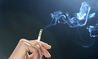 In dem Prozess wegen Steuerbetrugs griff das Gericht zu ungewöhnlichen Beweismiteln: ein paar der geschmuggelten Zigaretten wurden im Selbstversuch getestet. - Jens Kalaene