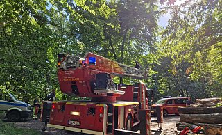 Die Feuerwehr hat den 54-jährigen Mann aus Lübbecke gerettet und holt aktuell (16.45 Uhr) den Segelschirm aus der Baumkrone. - Ilja Regier
