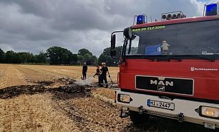 Nur eine kleine Fläche war diesmal von dem Brand am Donnerstag betroffen. - Feuerwehr Rahden