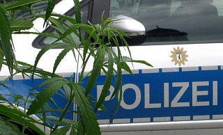 Die Angabe des 57-Jährigen, er nehme Marihuana, um seine chronischen Schmerzen zu mildern, machte die Beamten aufmerksam (Symbolbild). - picture alliance / XAMAX