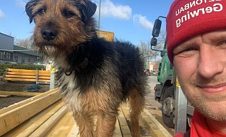 Hund und Herrchen sind happy: Bereits am Samstag, 17. Februar, - einen Tag nach dem Wiederauffinden des Vierbeiners - hat Betonbauer Daniel Tietz seinen Terriermischling "Charlie" wieder mit zur Arbeit genommen. - privat