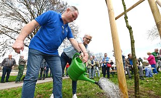 Königspaar Dieter und Martina Kuhlebrock gießen die gepflanzte Stileiche am Floßplatz an. - Thomas Kube