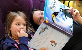 Am 23. April ist Welttag des Buches. - dpa/Ingo Wagner