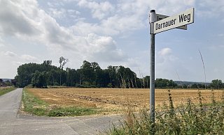 Der Unbekannte soll die beiden Mädchen in einem Waldstück beim Darnauer Weg in Rödinghausen angesprochen haben. - Aileen Stuckmann