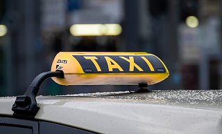 Ein Paderborner Taxifahrer ist nach einem Bienenstich verunfallt. - (Symbolbild) Pixabay