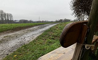 Der gesuchte Täter ließ die 24-Jährige auf einem der Felder an der Straße Untere Wende bewusstlos liegen. Gut möglich, dass er dachte, sein Opfer wäre bereits tot. Foto: Jens Reichenbach - Jens Reichenbach