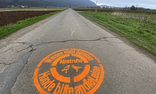 Die Stadtwerke haben zusammen mit der AG Natur die Vogelschablonen erneuert. Nun bleibt die Hoffnung, dass Hundebesitzer ihre Tiere auch wirklich anleinen. - Nicole Sielermann