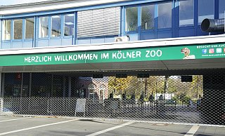 Der Kölner Zoo, hier ein Archivbild aus 2020. - picture alliance / Flashpic