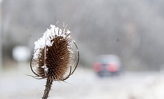 Ab Freitagabend soll es in Ostwestfalen-Lippe wieder schneien. - dpa