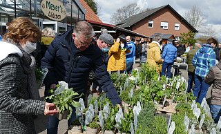 Der Benkhauser Bauernmarkt bietet bietet den Besuchern unter anderem ein vielfältiges Angebot an Kräuterpflanzen und jungen Gemüsepflanzen sowie Frühlingsblumen. - Klaus Frensing
