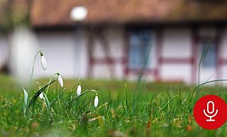 Das Wohnhaus der Witwe befand sich abgelegen auf einem Hof am Rande der Bielefelder Ortsgrenze. - Symbolfoto: Pixabay / Creative Commons