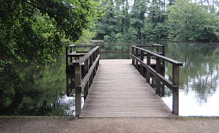 Ein Steg an den Sammelteichen in Schloß Holte. Dort spielte sich das Verbrechen ab, das jetzt vor Landgericht Bielefeld verhandelt wird. - FIONA DYCK
