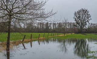 Das Landesamt für Umwelt rechnet mit mittlerem Hochwasser, auch in Teilen Ostwestfalens. - Symbolbild/Pixabay