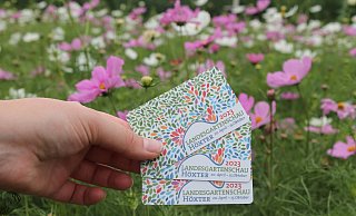 Die LGS-Dauerkarte kann auch als Ticket für den Nahverkehr genutzt werden. Aber auch, wenn man gar nicht zur Schau fährt? - LGS Höxter/M.Puls