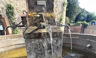 Das ist kein Trinkwasser: Darauf weist auch ein kleines Schild am Brunnen am Graf-Dodiko-Weg hin. - Simone Flörke