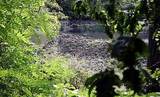 Beim Stauteich 1 ließ das Umweltbetrieb 2019 den Schlamm auf einen großen Haufen aufschütten, damit er trocknete und sich Schadstoffe abbauten. Das klappte nur zum Teil. - Wolfgang Rudolf