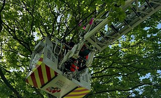 Ein Fallschirmspringer hatte sich bei Büren mit seinem Schirm in einer Baumkrone verfangen. - Freiwillige Feuerwehr Büren