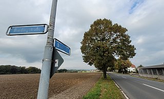 Die Dünner Straße in Bünde wird ab der Bindingstraße wegen Bauarbeiten für mehrere Wochen gesperrt. Foto: Gerald Dunkel - Gerald Dunkel