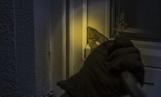 Einbruch in der Nacht. Foto: Pixabay - Pixabay