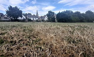 Durch die große Trockenheit seit Mai ist das Gras vielerorts – wie hier in der Warburger Altstadt – schon trocken, braun und verdorrt. - Simone Flörke