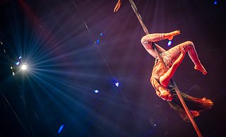 Alexandra Rizaeva überzeugt mit ihrer Choreographie an der fliegenden Pole-Stange. - Mike-Dennis Müller / www.mdm.photo