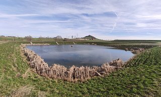 Eine schwierige Situation für die Vogelrettung: Mitten auf dem Wasser einer der Schlammteich-Becken oberhalb des ehemaligen Werksgeländes harrt ein Höckerschwan mit einem verletzten Flügel der Dinge. - Manfred Hölker