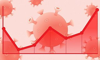 Die Sieben-Tage-Inzidenz steigt unaufhörlich. - (Symbolbild): Pixabay