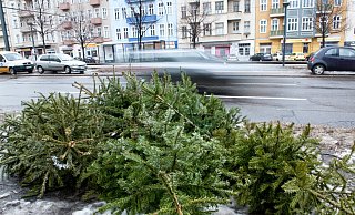 Die Stadt Bielefeld bietet in drei Etappen bis Ende Januar die Möglichkeit, kostenlos die abgeschmückten Weihnachtsbäume zu entsorgen. - Andrea Warnecke